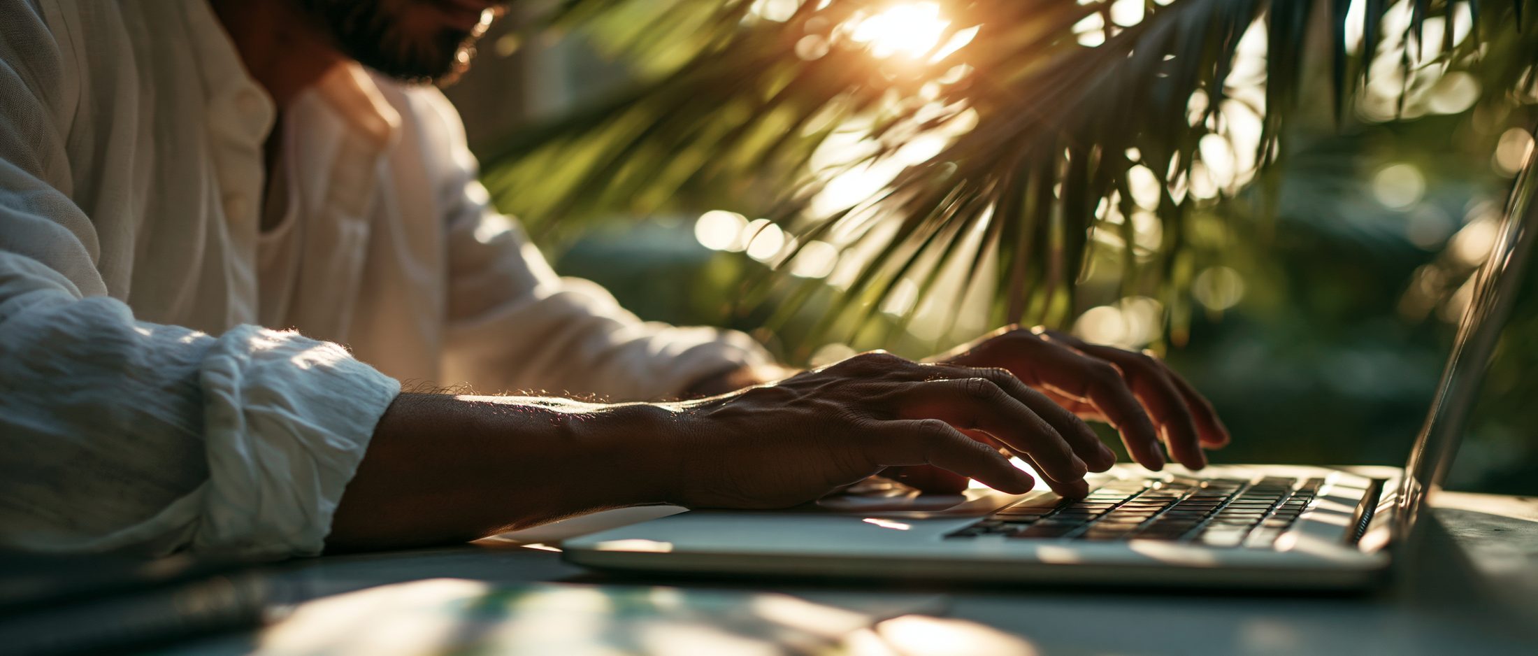 Working under the palms at golden hour